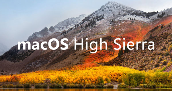 Install Macos High Sierra.app To Iso